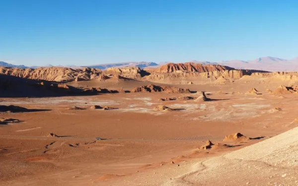 100 Years Without Rain in Chile’s Atacama Desert, Where Sea Fog Provides a Vital Water Source (Image 1)