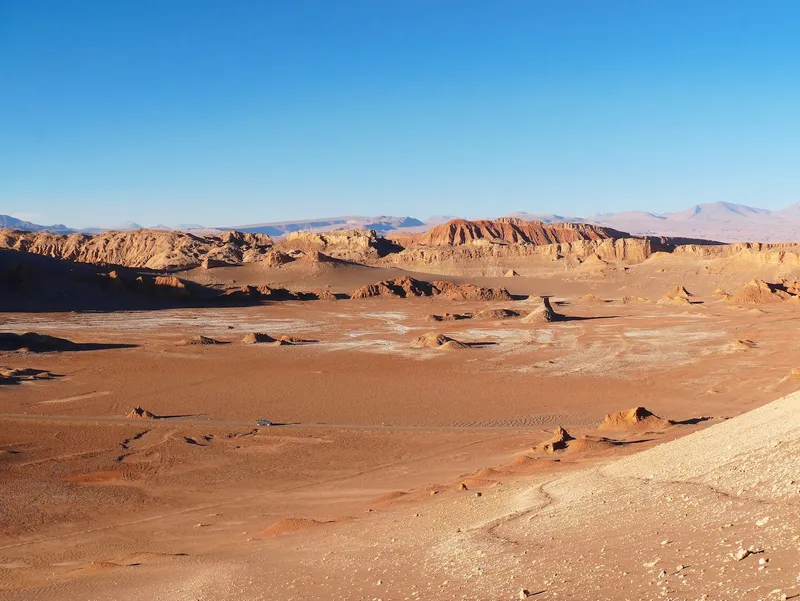 100 Years Without Rain in Chile’s Atacama Desert, Where Sea Fog Provides a Vital Water Source (Image 1)