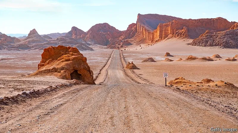 100 Years Without Rain in Chile’s Atacama Desert, Where Sea Fog Provides a Vital Water Source (Image 3)