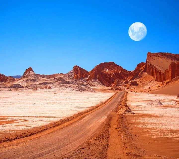 100 Years Without Rain in Chile’s Atacama Desert, Where Sea Fog Provides a Vital Water Source (Image 2)