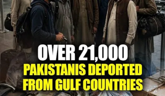 Over 21,000 Pakistani Nationals Deported From Gulf Nations Recently