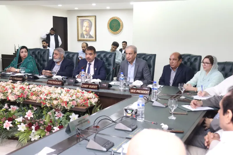 DG Customs Valuation Addresses LCCI Concerns on Import Pricing Policies (Image 3)