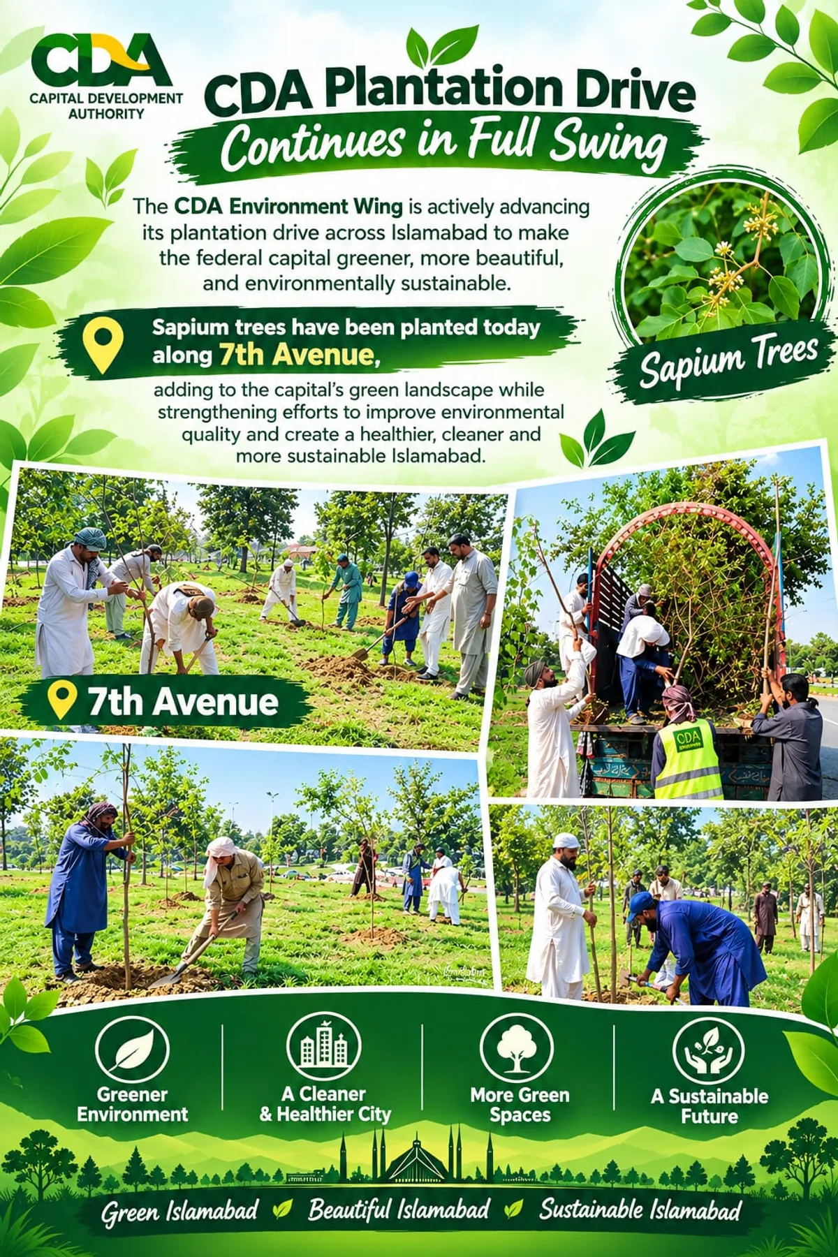 Capital Development Authority Continues Major Plantation Drive Across Islamabad City (Image 2)