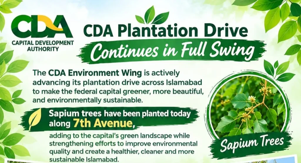 Capital Development Authority Continues Major Plantation Drive Across Islamabad City (Image 1)