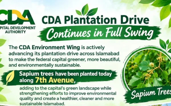 Capital Development Authority Continues Major Plantation Drive Across Islamabad City (Image 1)